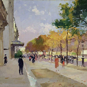 Avenue Montaigne, Paris (oil on canvas)