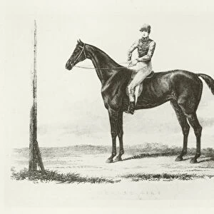 Beggar Girl, foaled 1815 (b / w photo)