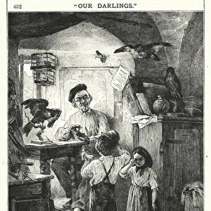 Billy and Kate seek the Taxidermist (engraving)