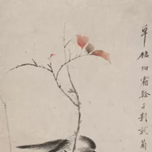 Bird on an Autumn Branch, Qing dynasty (ink & colour on paper)