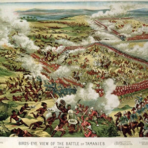 Birds-eye view of the Battle of Tamanieb, 13th March 1884, published by G. W. Bacon & Co