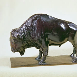 Bison, 1907 (bronze)