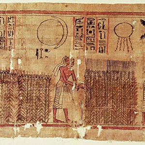 Book of the Dead of Neb-Hepet, detail of the fields, 1075 BC (papyrus)