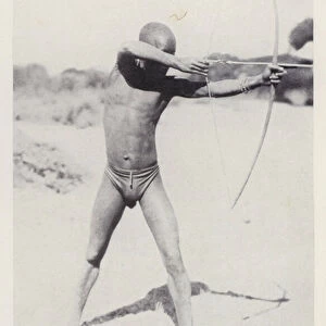 A bushman of the Kalahari country hunting big game with a poisoned arrow (b / w photo)