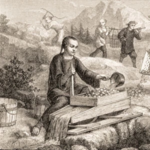 Californian Gold Prospecting in the 1860s (engraving)