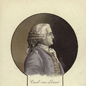 Carl Linnaeus (1707-1778), Swedish botanist and zoologist (engraving)
