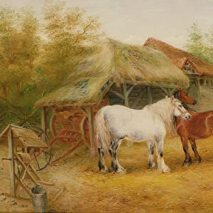 Carthorses in a farmyard