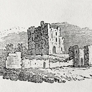 Castle Ruins from History of British Birds and Quadrupeds (engraving)