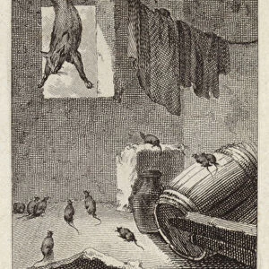 The cat and the old rat (engraving)