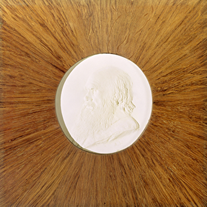 Charles Darwin (1809-82) c. 1881 (plaster bas-relief)