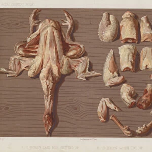 Chicken laid for cutting up, Chicken when cut up (chromolitho)