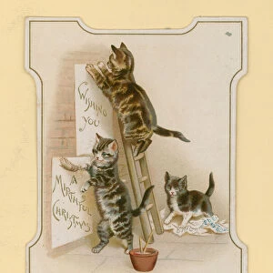 Christmas cards, with cats (chromolitho)