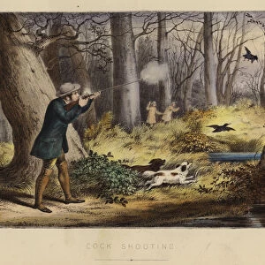 Cock Shooting (colour litho)