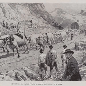 Constructing the Simplon Tunnel, a Team of Oxen bringing up a Boiler (litho)