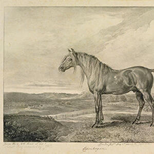Copenhagen, from Celebrated Horses, a set of fourteen racing prints published