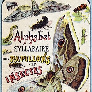 Cover of "Syllabary alphabet of butterflies and insects". Serie A