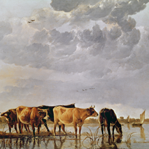 Cows in a River, c. 1650 (oil on panel)
