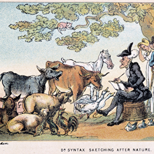 The Doctor draws farm animals from nature - in "Doctor Syntax