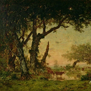 The Edge of the Forest at Fontainebleau, Setting Sun, 1850-51 (oil on canvas)