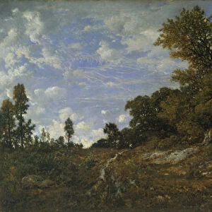The Edge of the Woods at Monts-Girard, Fontainebleau Forest, 1852-54 (oil on wood)