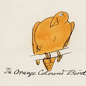 Edward Lear, The Bird Book: The Orange Coloured Bird (colour litho)