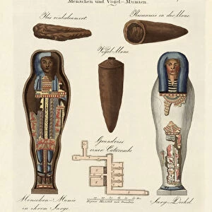 Egyptian mummies (coloured engraving)