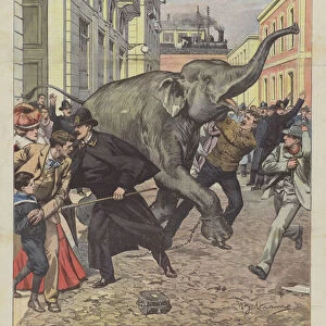 The Elephant Who Will Be In The Dance Amor, At La Scala, Dizzled In The Streets Of Milan (colour litho)