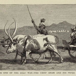 The End of the Zulu War, the Chief Oham and his Wives on their Way to Sir Garnet Wolseley at Utrecht (engraving)