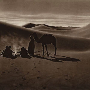 Evening in the desert (b / w photo)