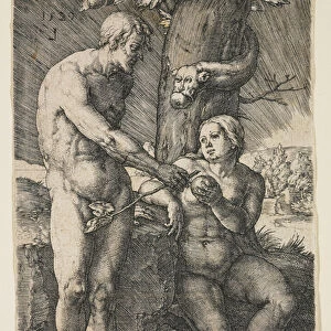 The Fall of Man, 1529