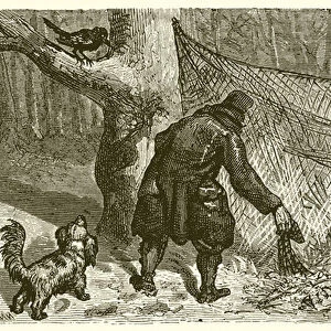 The Fowler and the Blackbird (engraving)
