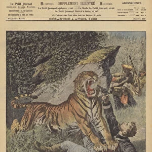 A French colonial administrator attacked by a tiger in Indochina (colour litho)