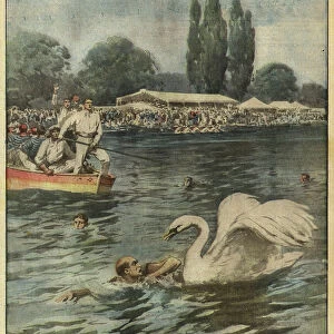 The fury of a swan (Colour Litho)