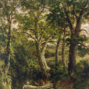 Gathering Timber (oil on canvas)