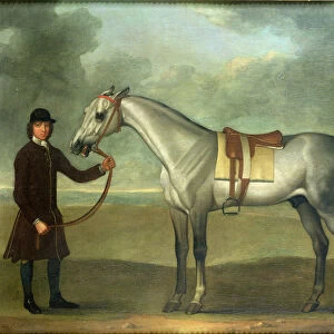 Grey racehorse held by a groom