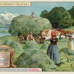 Haymaking in Switzerland (chromolitho)