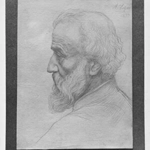 Head of an old man with long hair, 1899 (silverpoint on paper)