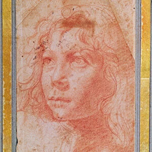 Head of a young boy turned to the left (red chalk on paper)