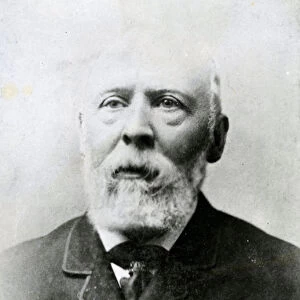 Henry Wallis (1830-1916) (b / w photo)