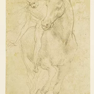 Horse and Rider, c. 1480 (silverpoint on prepared paper)