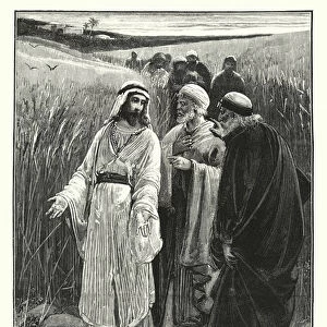 Jesus in the Corn-Fields (engraving)