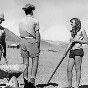 Jewish Youth Working on the Land, Israel, c. 1950 (b / w photo)