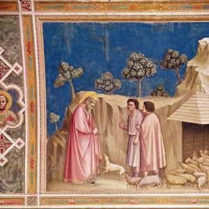 Joachim among the Shepherds, c. 1305 (fresco) (see also 165213)