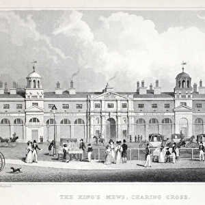 The Kings Mews, Charing Cross, from London and it