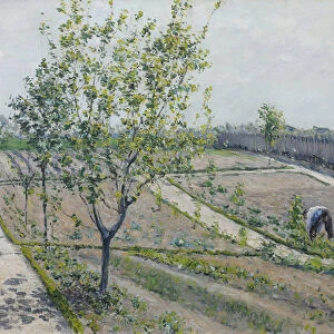Kitchen Garden, Petit Gennevilliers - Gustave Caillebotte (1848-1894)