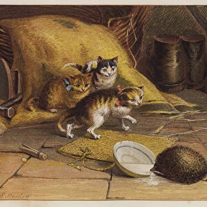 Kittens baffled by a hedgehog (colour litho)