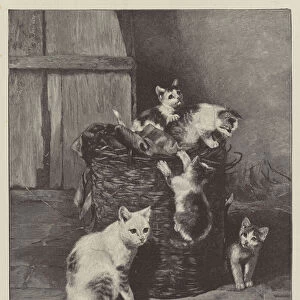 Kittens at Play (engraving)