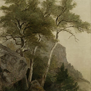 Landscape, 1855 (oil on canvas)
