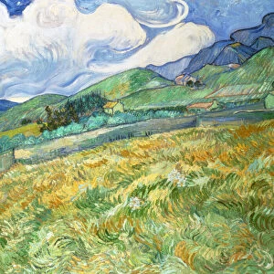 Landscape from Saint-Remy, 1889 (oil on canvas)
