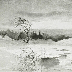 Landscape with Water and Windswept Tree, 1896 (wood engraving)